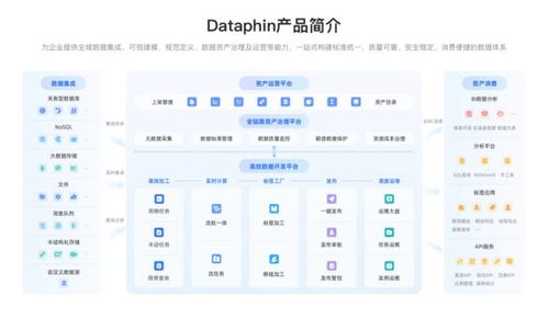 企業(yè)數(shù)據(jù)系統(tǒng)建設(shè) 治理價(jià)值凸顯，2025主流產(chǎn)品與服務(wù)全景展望