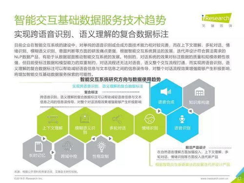 中國人工智能基礎(chǔ)數(shù)據(jù)服務(wù)行業(yè)報告 數(shù)據(jù)處理服務(wù)的核心價值與演進(jìn)趨勢